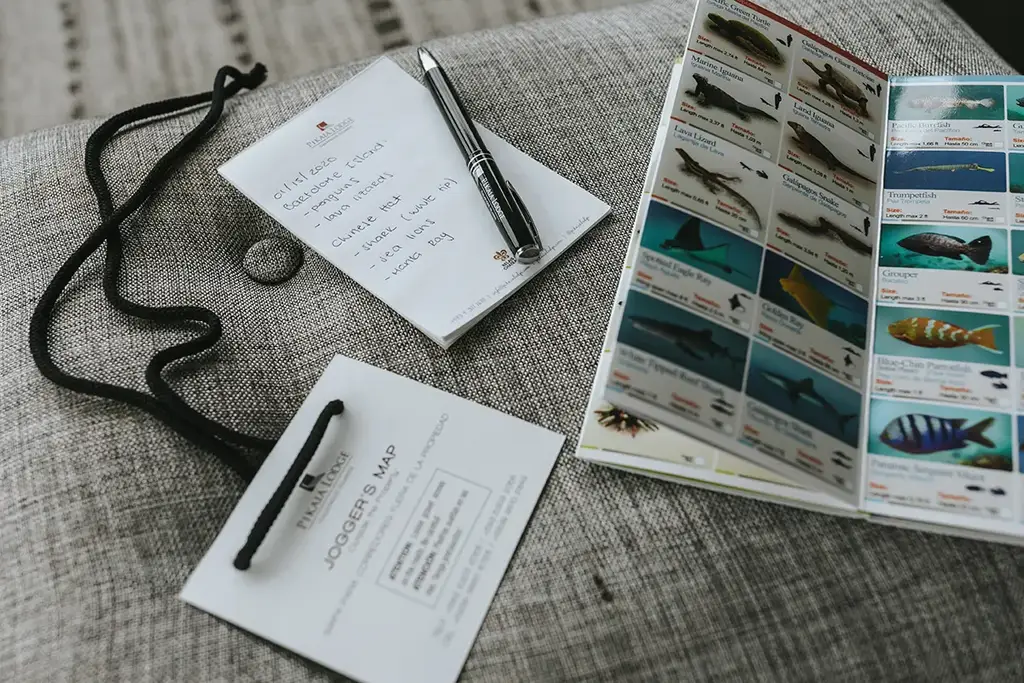 Field notes and drawing materials for young explorers