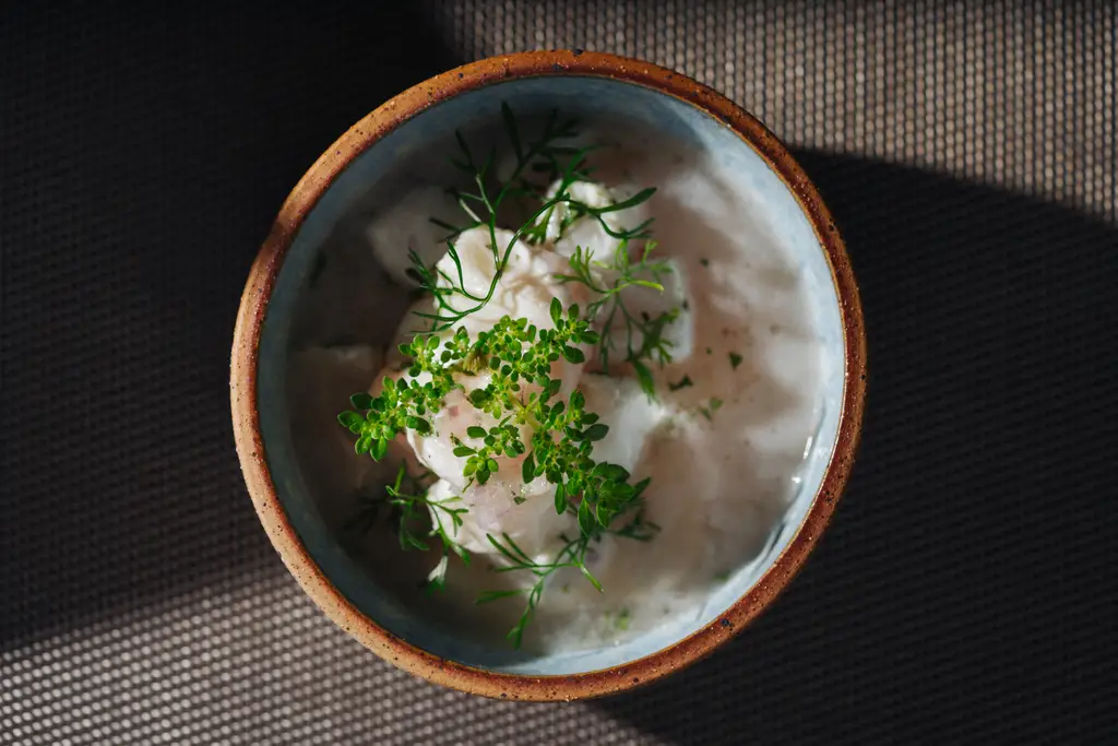 A menu in constant evolution: the culinary experience at Pikaia
