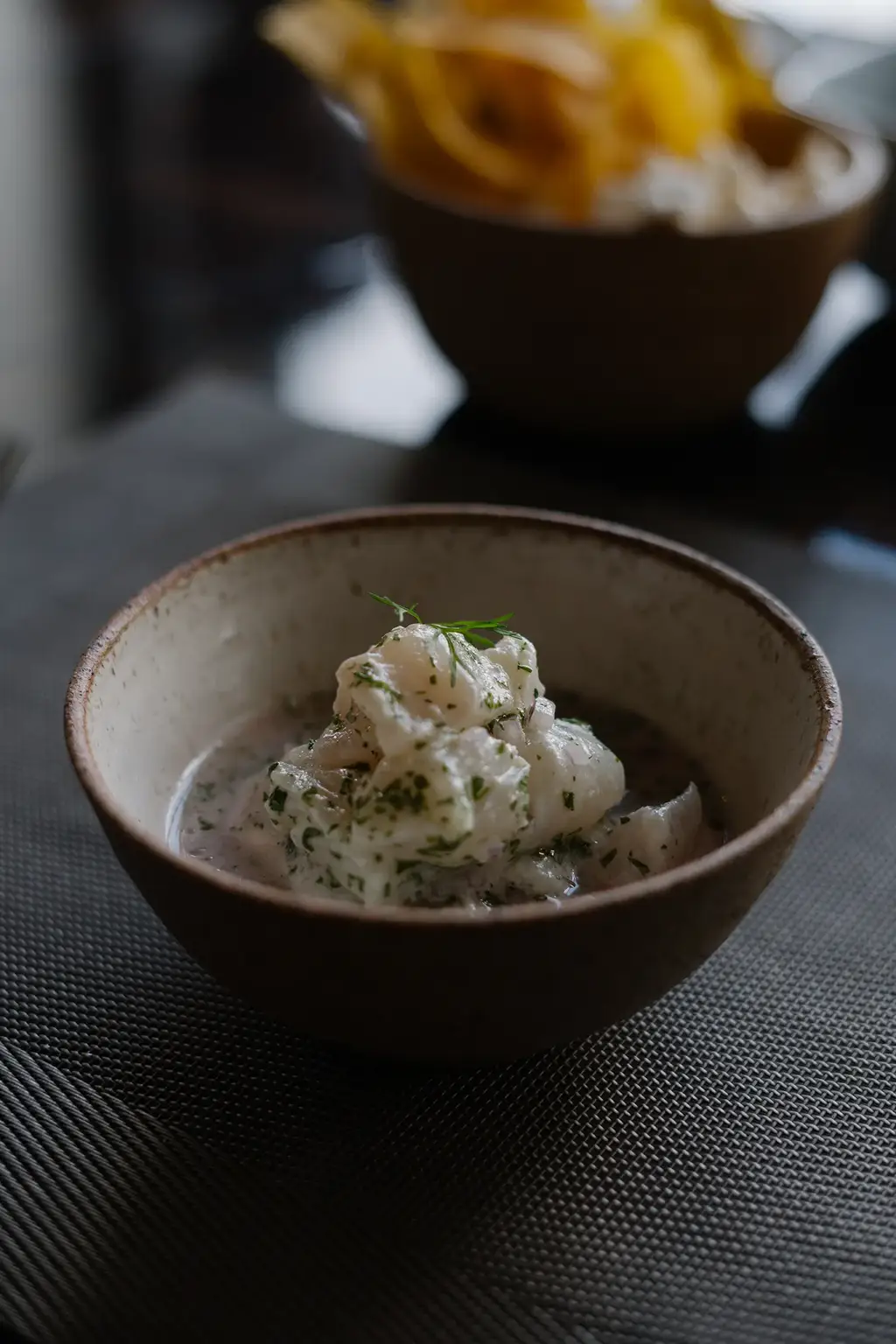 Elegant starter at Evolution by Pikaia