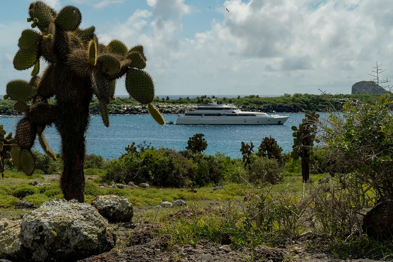 Private Yacht — 3