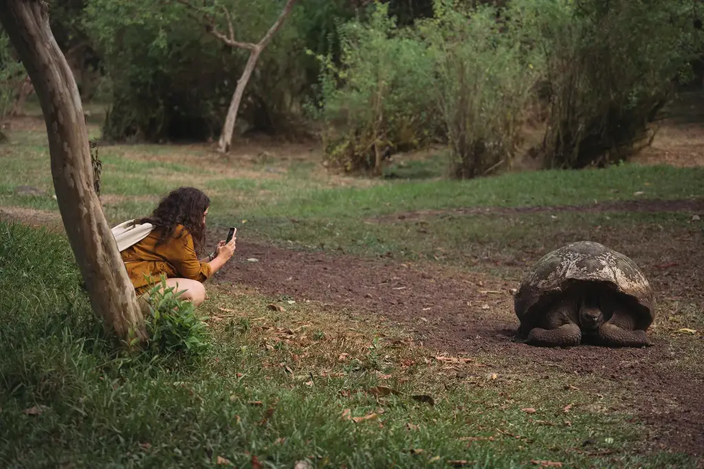 Guest observing a giant tortoise in the Santa Cruz highlands