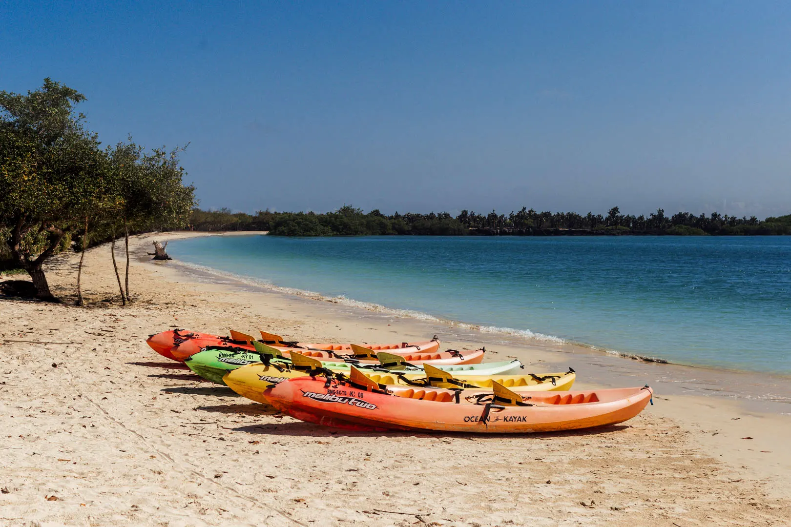 Kayaks on a Galápagos beach during the early December secret season