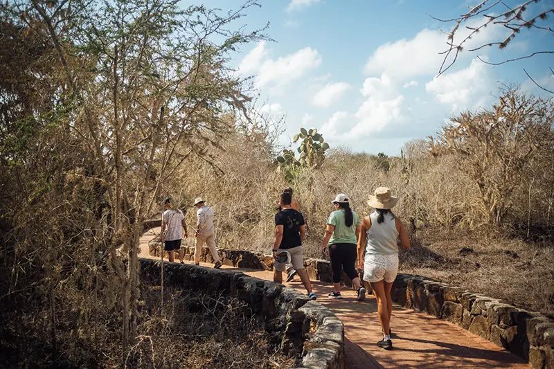 Expert Picks: Best Destinations for Tailor-Made Travel in 2026