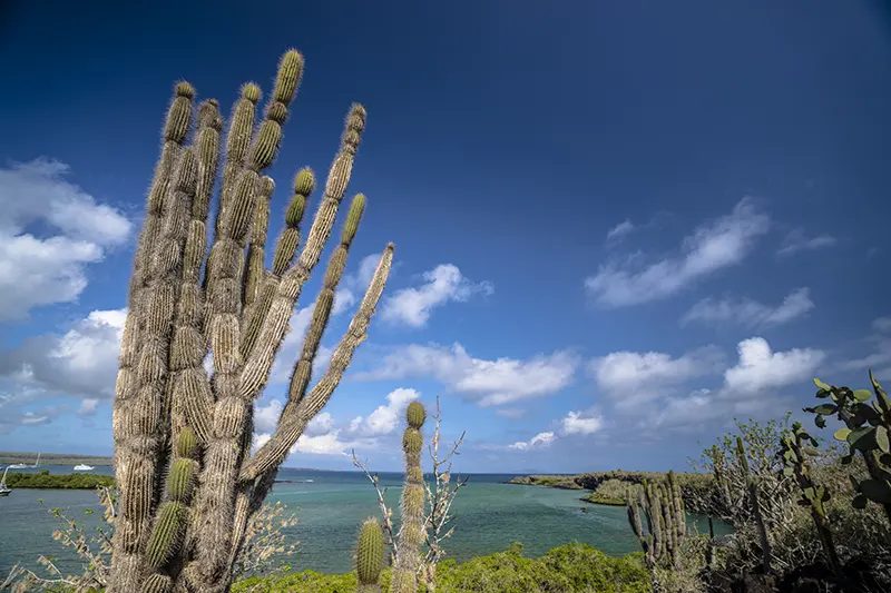 Ecuador Wedding Venues, Locations & Honeymoons: 2026 Guide